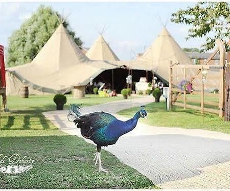 Skipbridge Farm Shepherds Huts Campground Green Hammerton Exterior photo