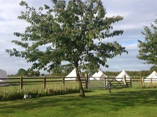 Skipbridge Farm Shepherds Huts Campground Green Hammerton Exterior photo